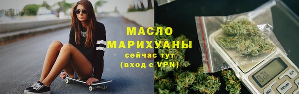 хмурый Новозыбков