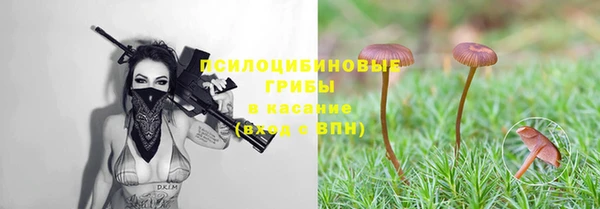 хмурый Новозыбков