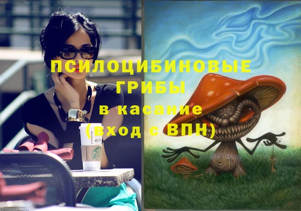 хмурый Новозыбков