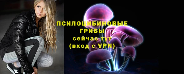 хмурый Новозыбков
