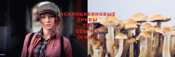 ECSTASY Новокубанск
