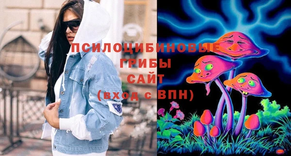хмурый Новозыбков