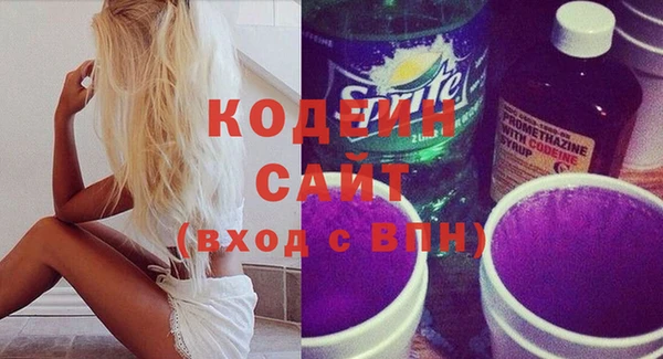 хмурый Новозыбков