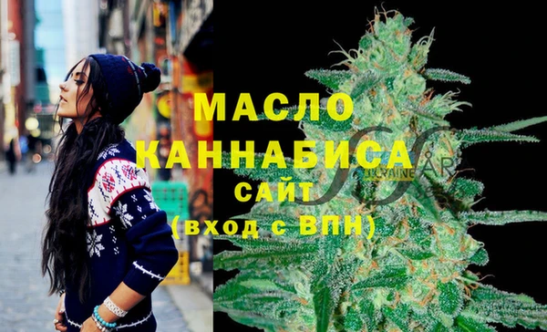 хмурый Новозыбков