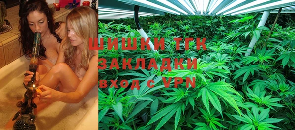 хмурый Новозыбков