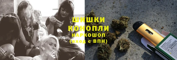 хмурый Новозыбков