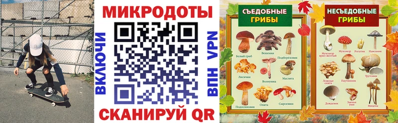 Псилоцибиновые грибы GOLDEN TEACHER  блэк спрут сайт  Покачи 