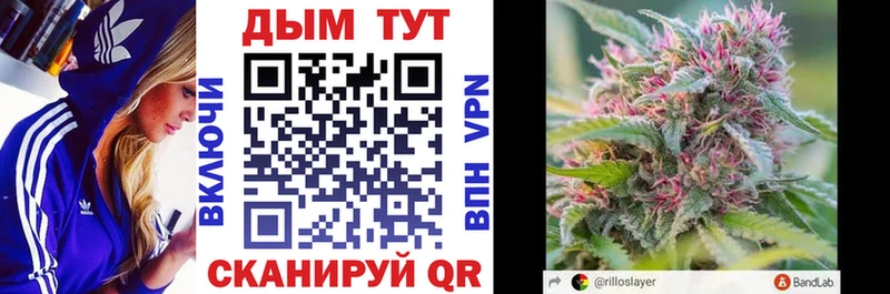Шишки марихуана марихуана  hydra как зайти  Покачи  цены  
